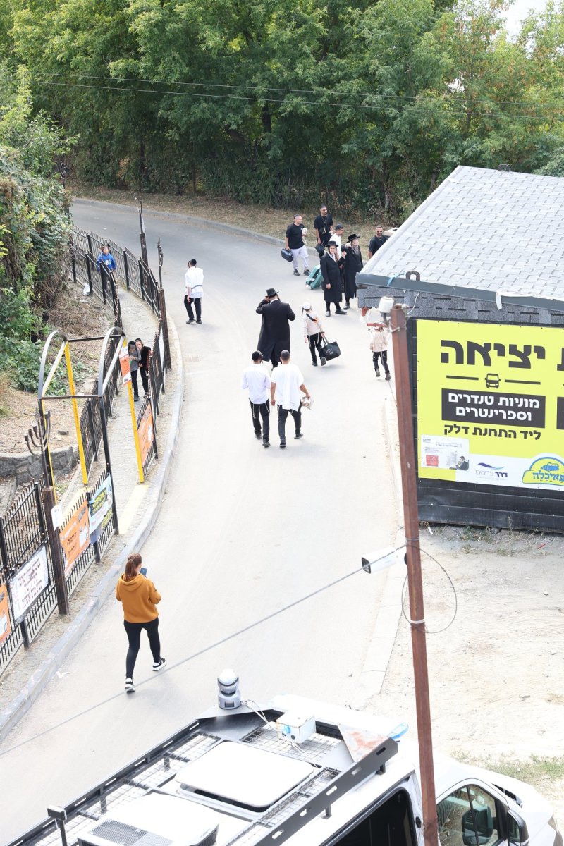  יהודה וויס