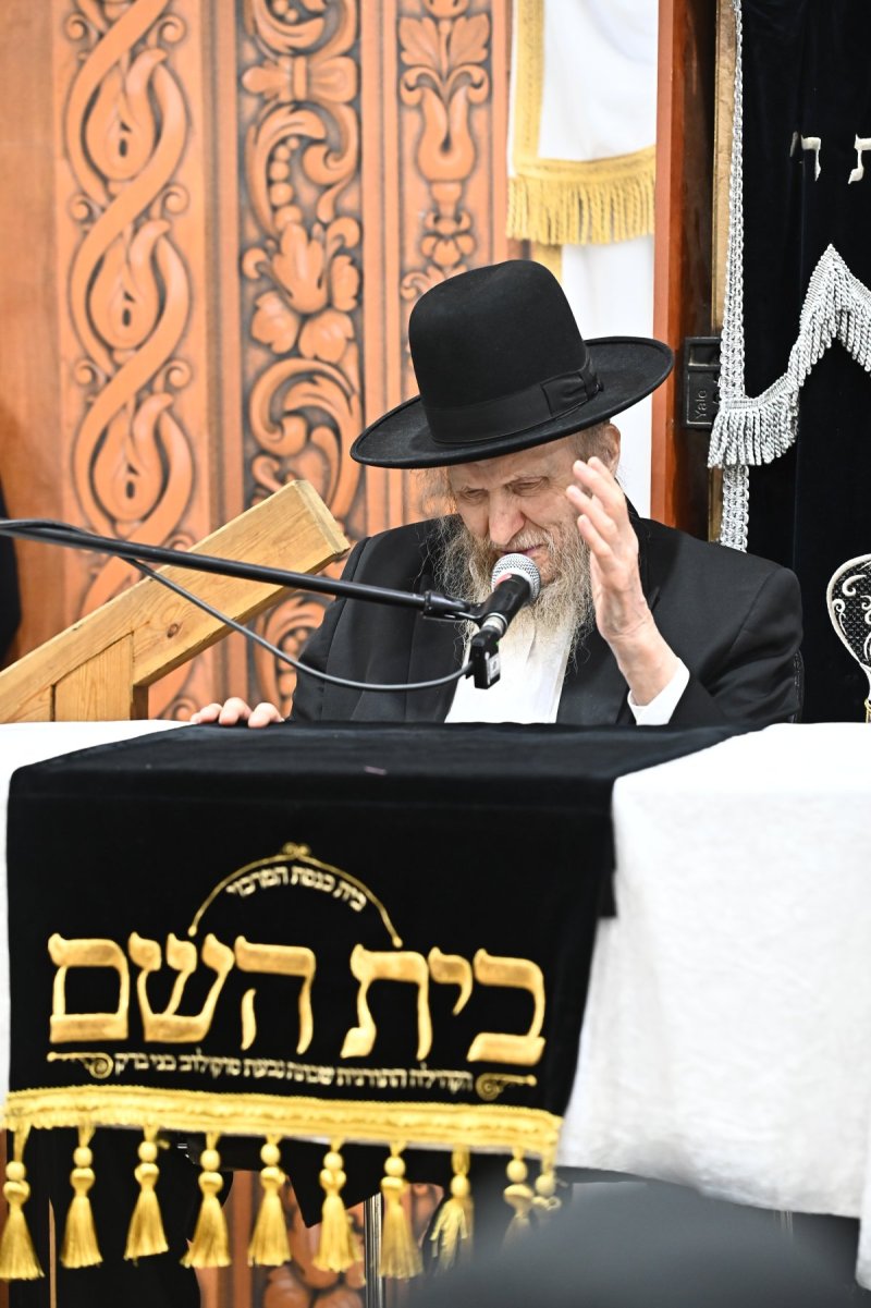 שוקי לרר