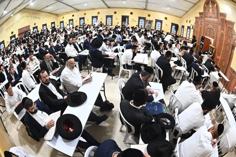 שוקי לרר