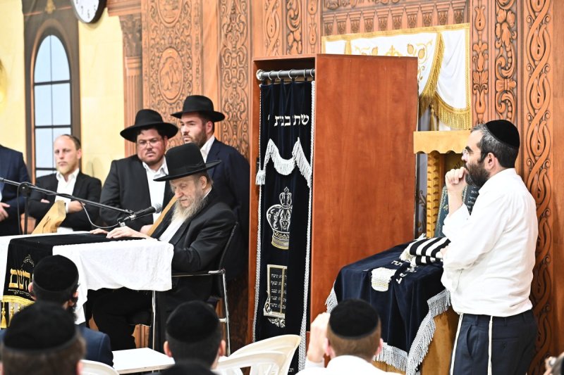 שוקי לרר