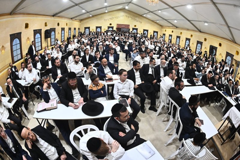 שוקי לרר