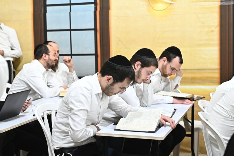 שוקי לרר