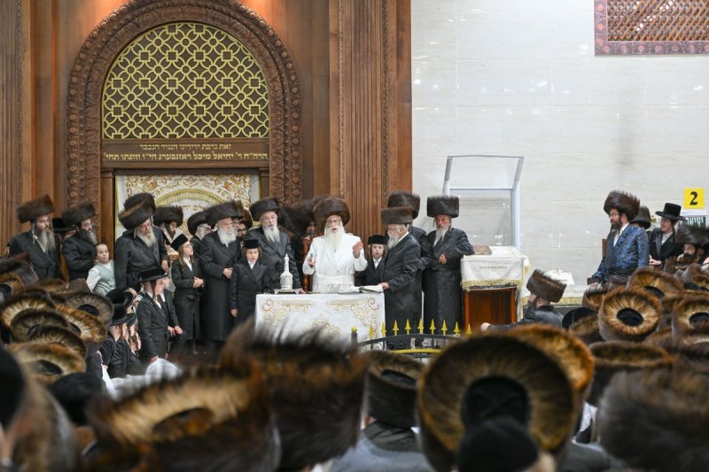 משה גולדשטיין