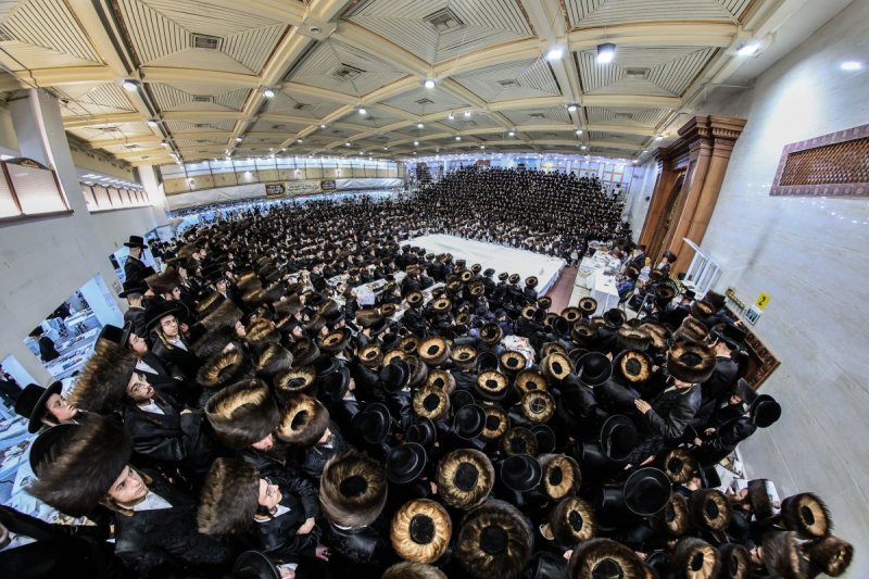 משה גולדשטיין