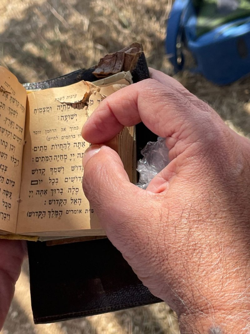 מיכל מביסש