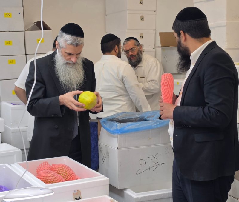באדיבות המצלם