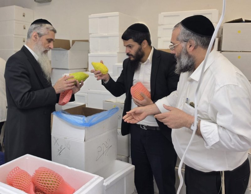 באדיבות המצלם