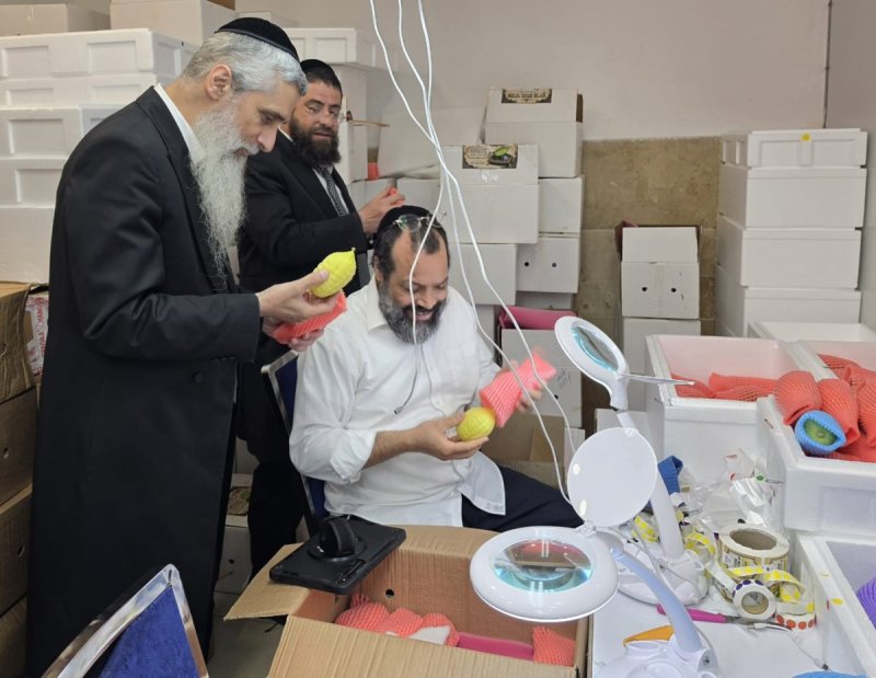 באדיבות המצלם