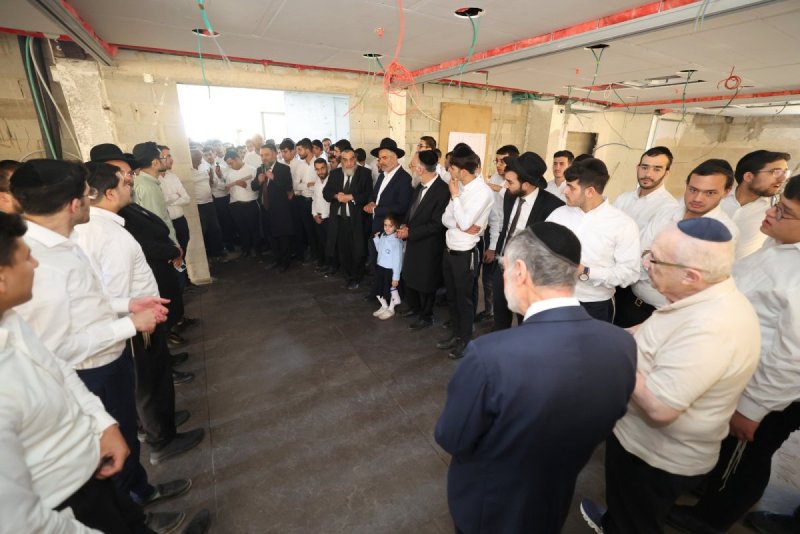 יעקב כהן