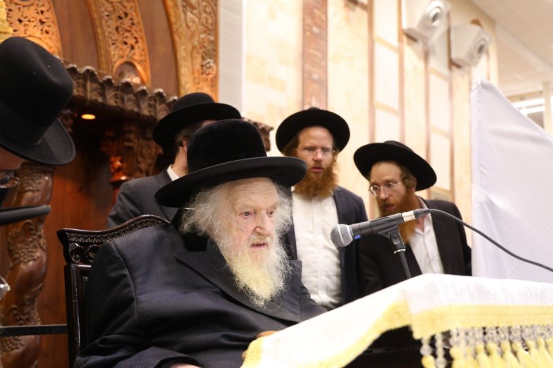 דוד ארזני