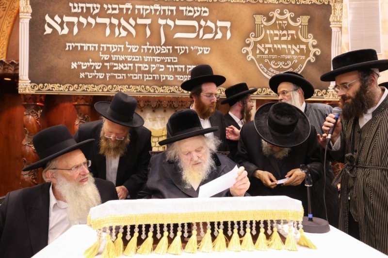 דוד ארזני