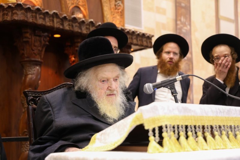 דוד ארזני