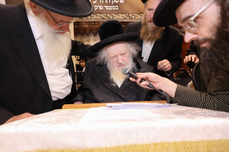 דוד ארזני