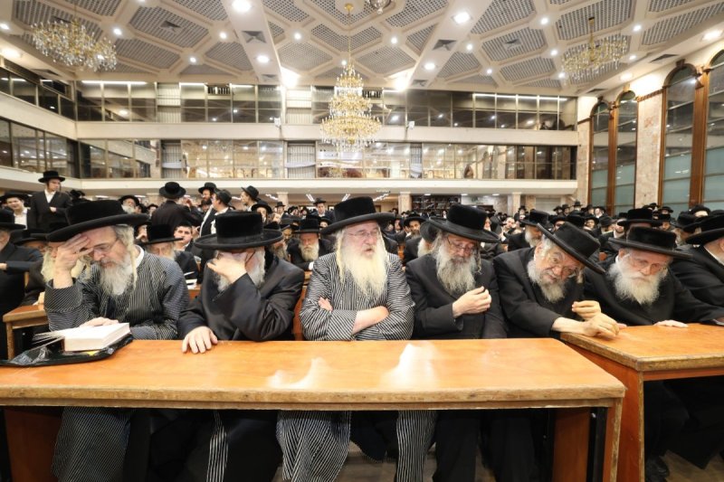 דוד ארזני