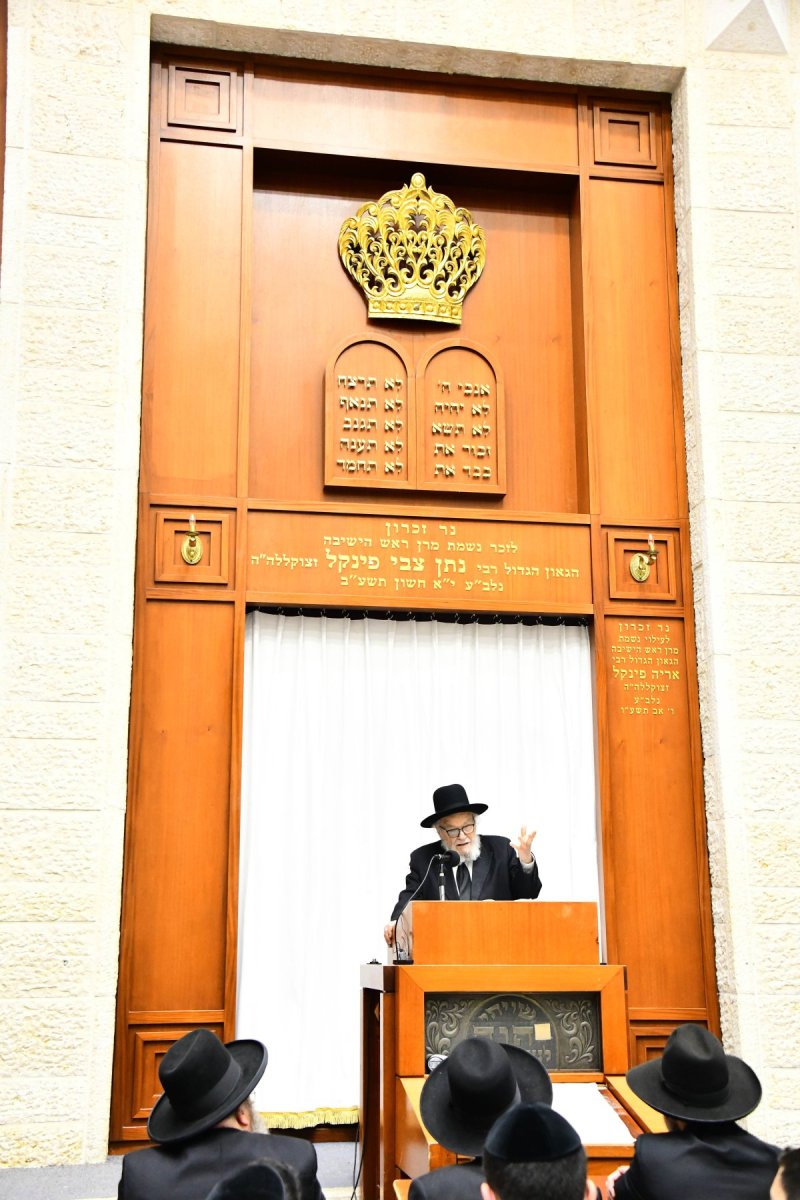 שוקי לרר