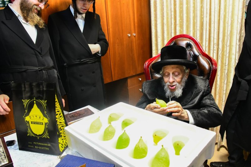 שוקי לרר