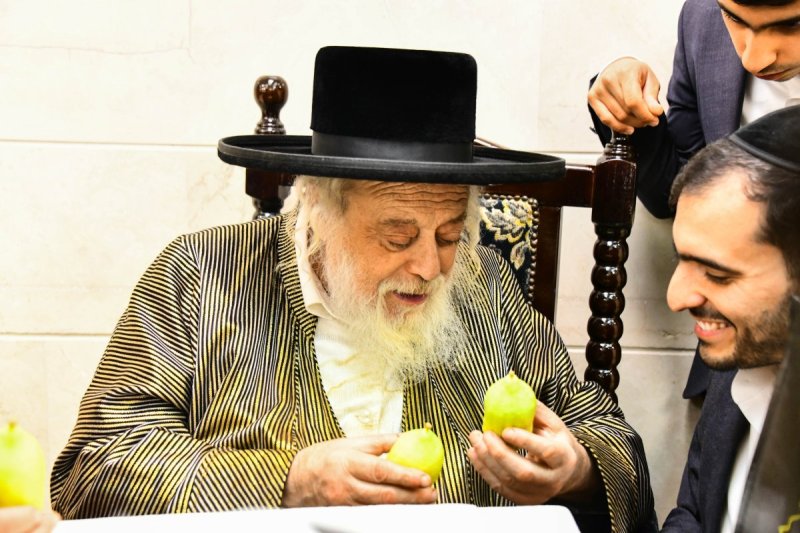 שוקי לרר