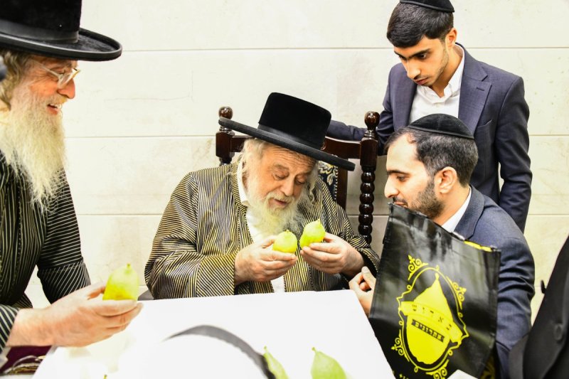 שוקי לרר