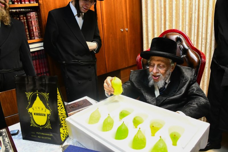 שוקי לרר