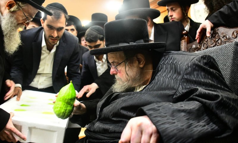 עשרת ימי תשובה: גדולי ישראל בירושלים בחרו אתרוג מרוקאי