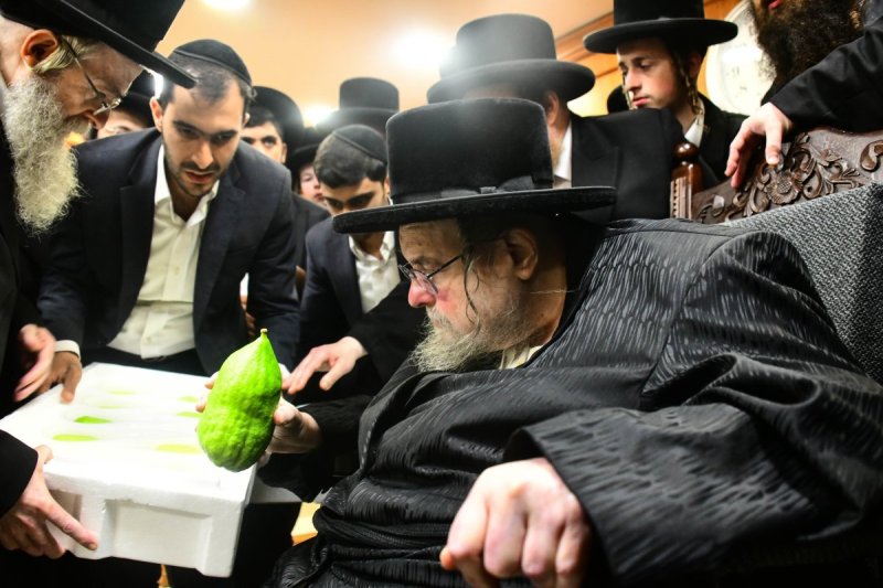 שוקי לרר