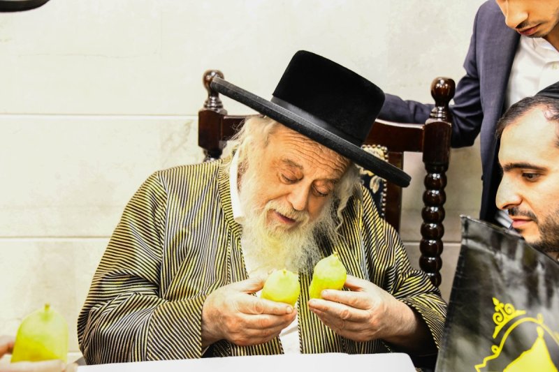 שוקי לרר