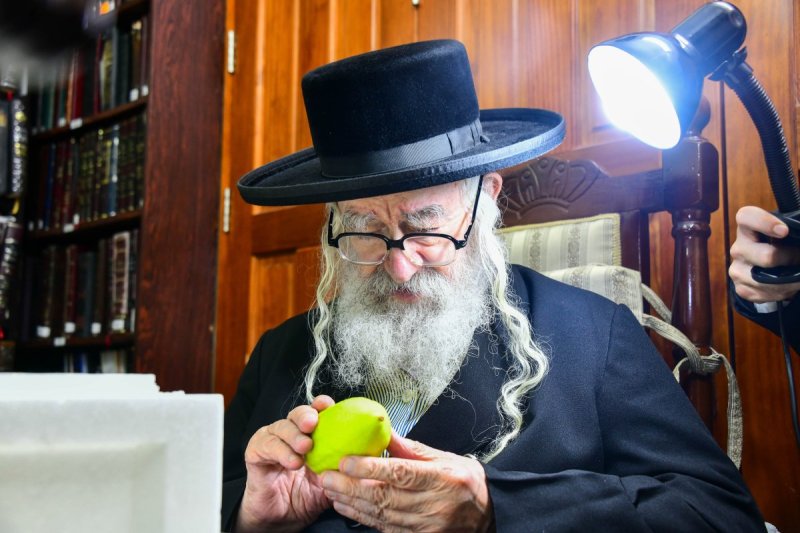 שוקי לרר