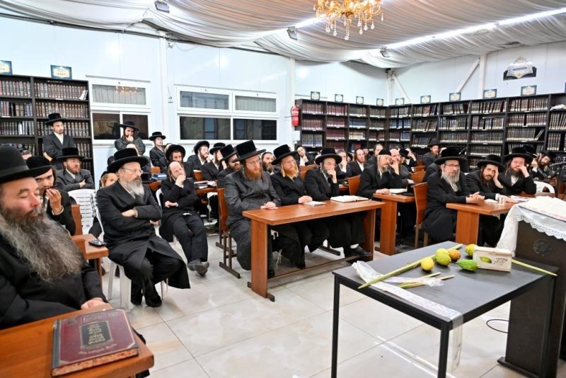 יהושע פרוכטר