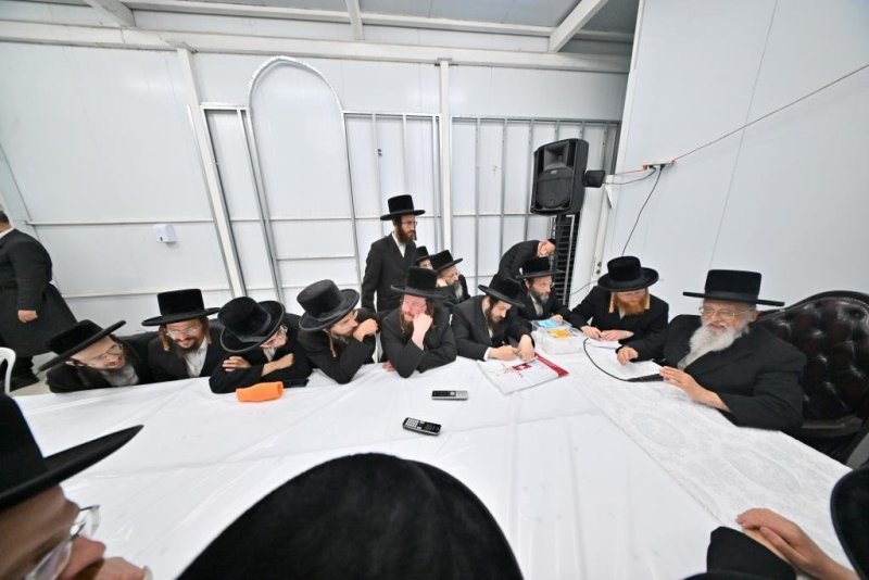 יהושע פרוכטר