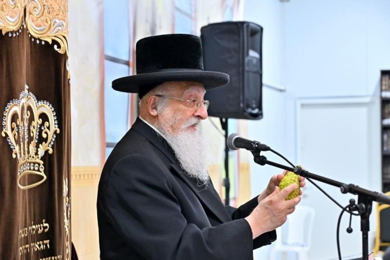 יהושע פרוכטר