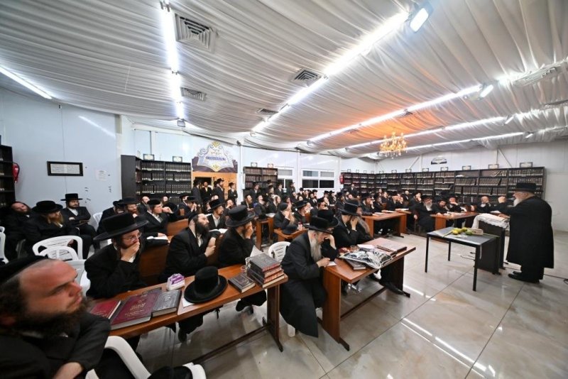יהושע פרוכטר