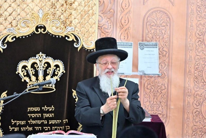 יהושע פרוכטר