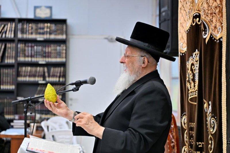 יהושע פרוכטר