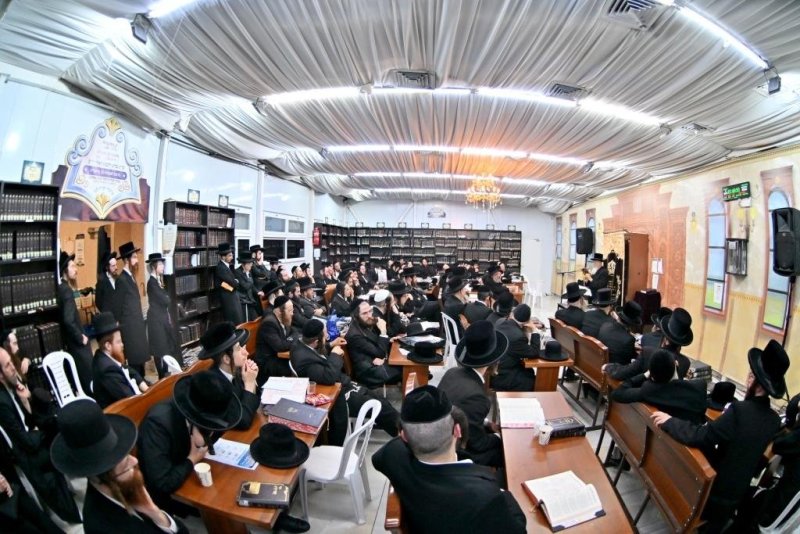 יהושע פרוכטר