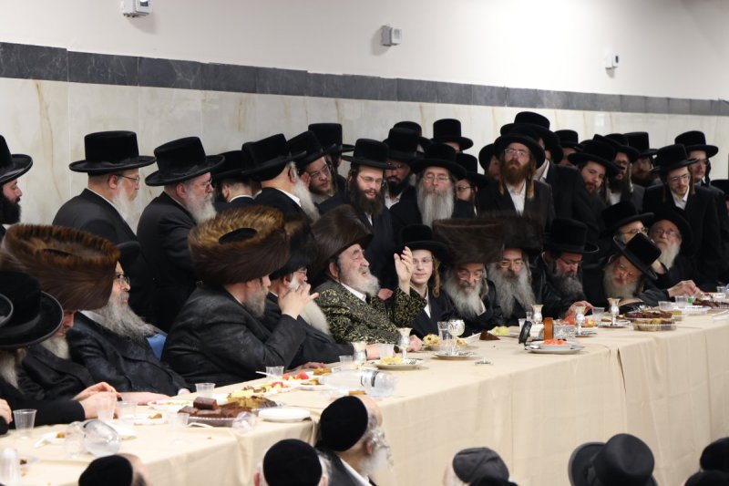 מאיר פרקש