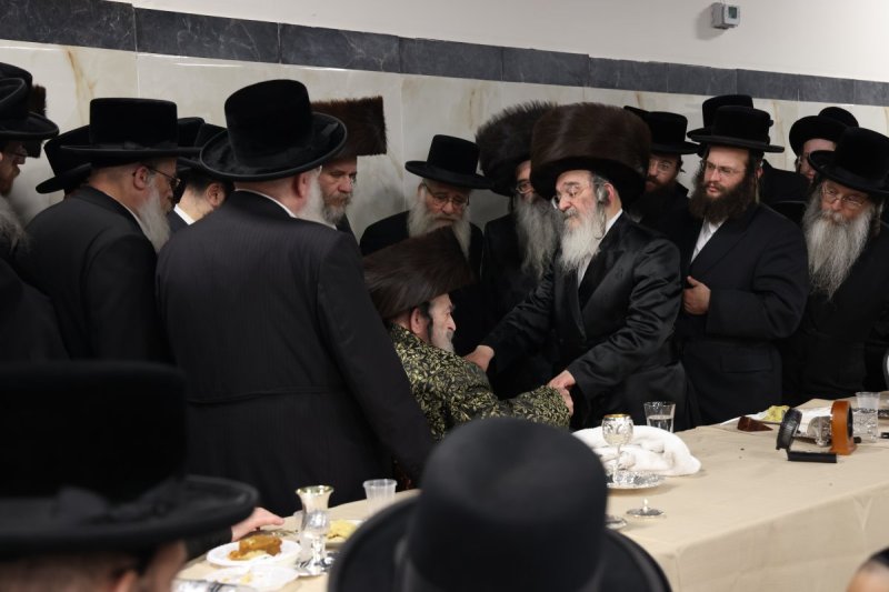 מאיר פרקש