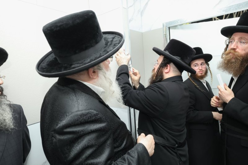 דוד ארזני
