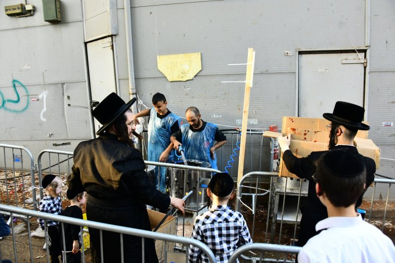 שוקי לרר