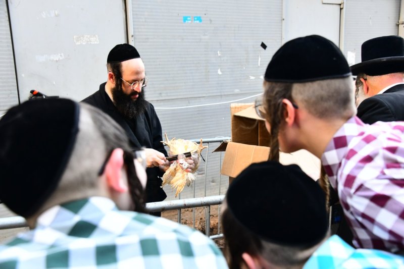 שוקי לרר