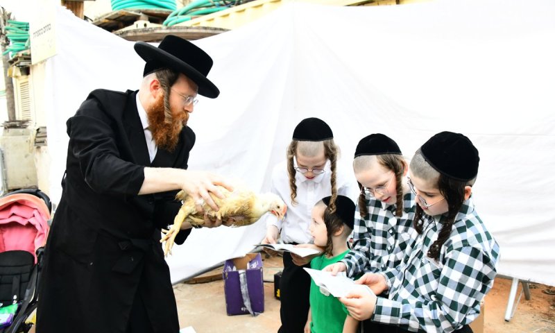 פדיון כפרות בחוצות בני ברק: שוקי לרר מגיש גלריה מרהיבה