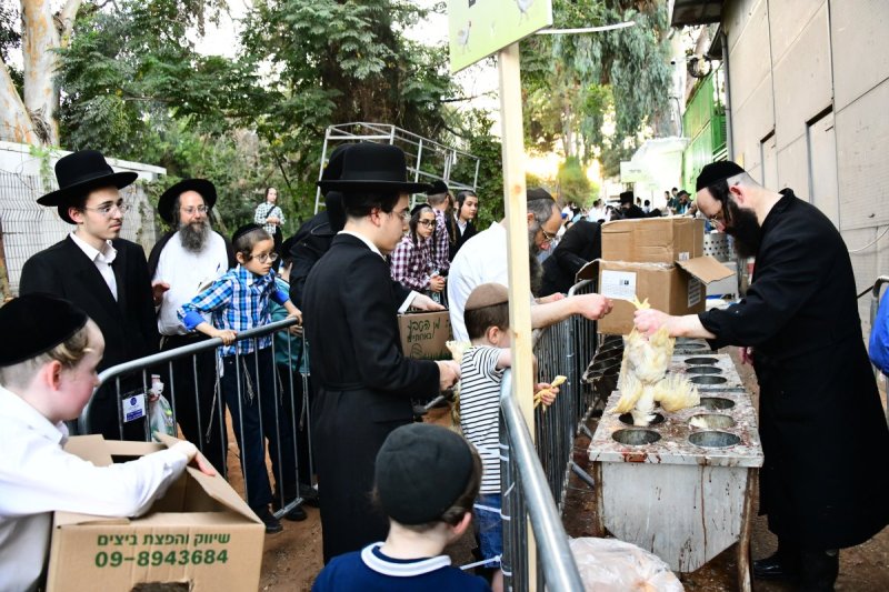 שוקי לרר