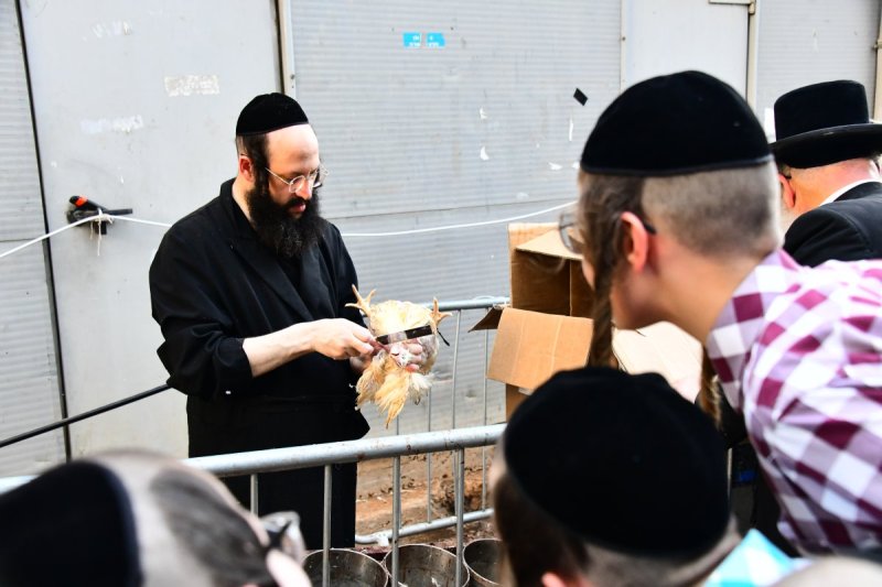 שוקי לרר