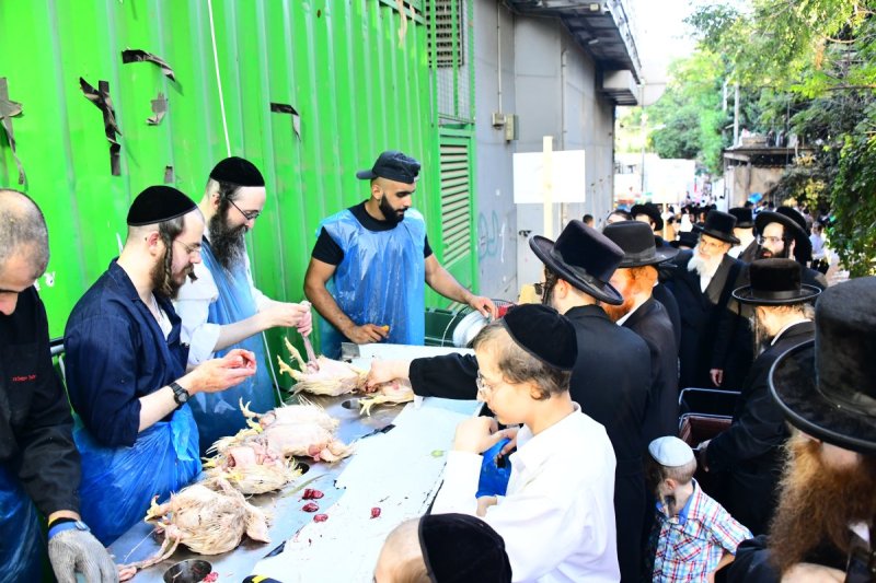 שוקי לרר