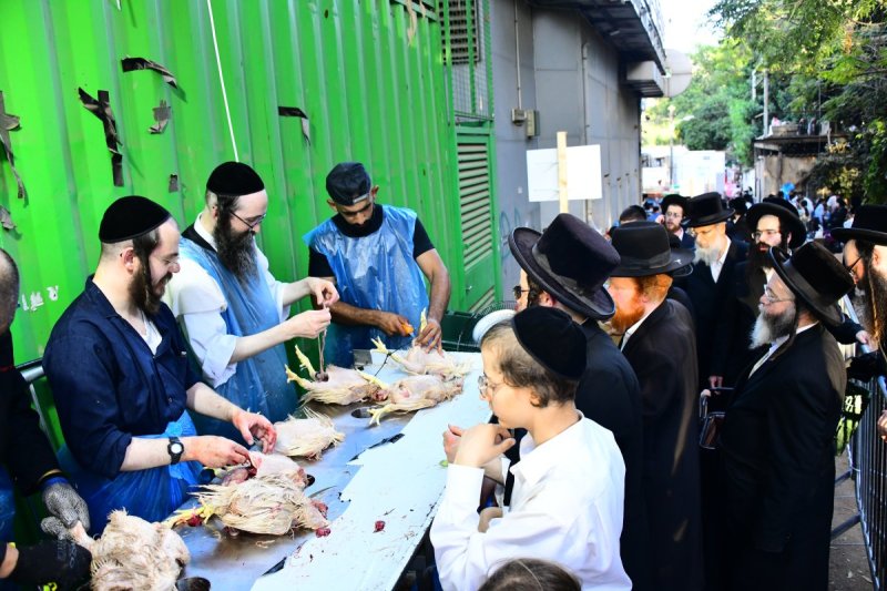שוקי לרר
