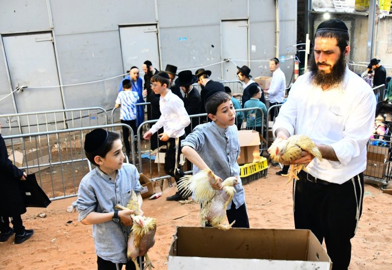 שוקי לרר