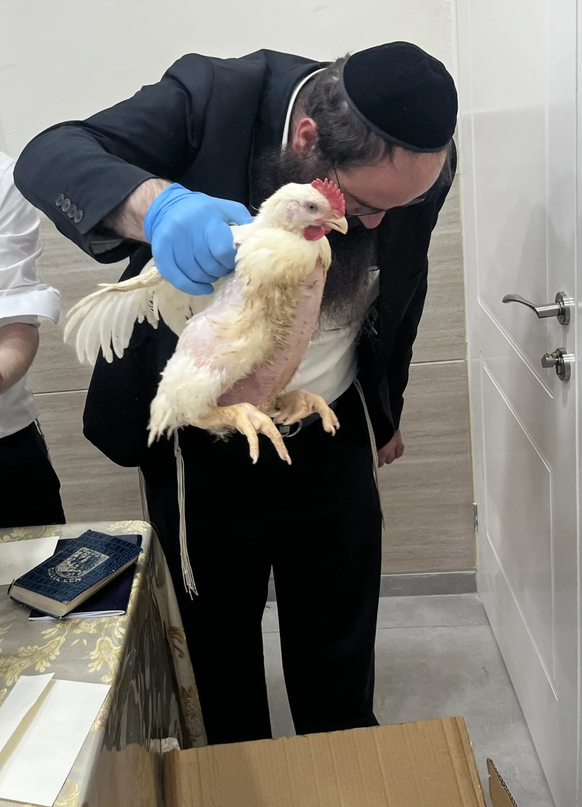 באדיבות המצלם