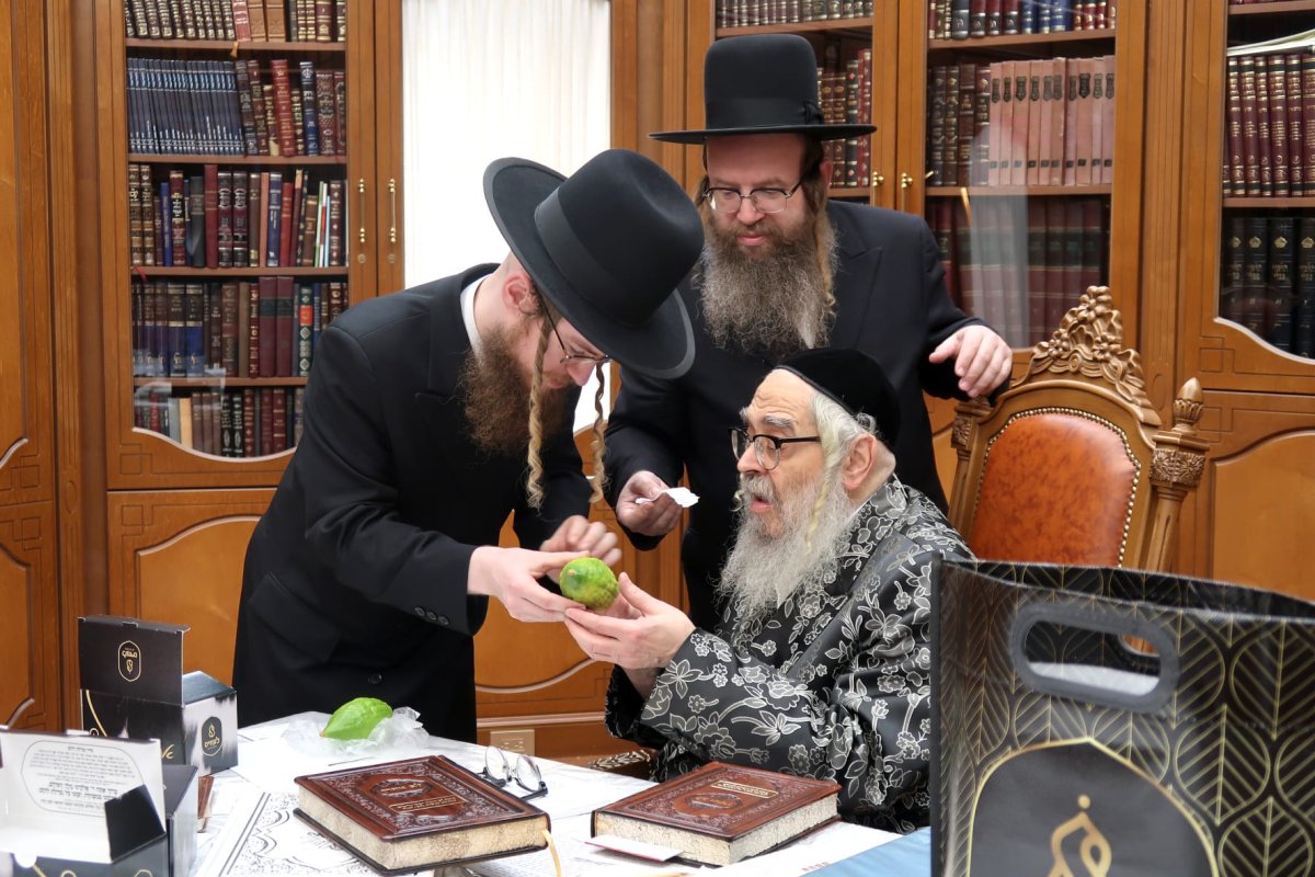 באדיבות המצלם