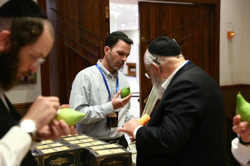  יעקב נחומי