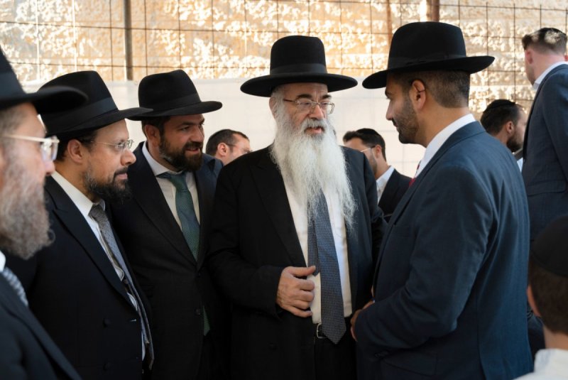שמואל אריה