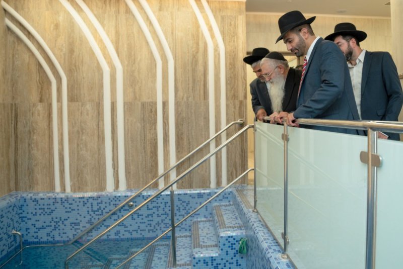 שמואל אריה